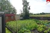 Garten Bild I