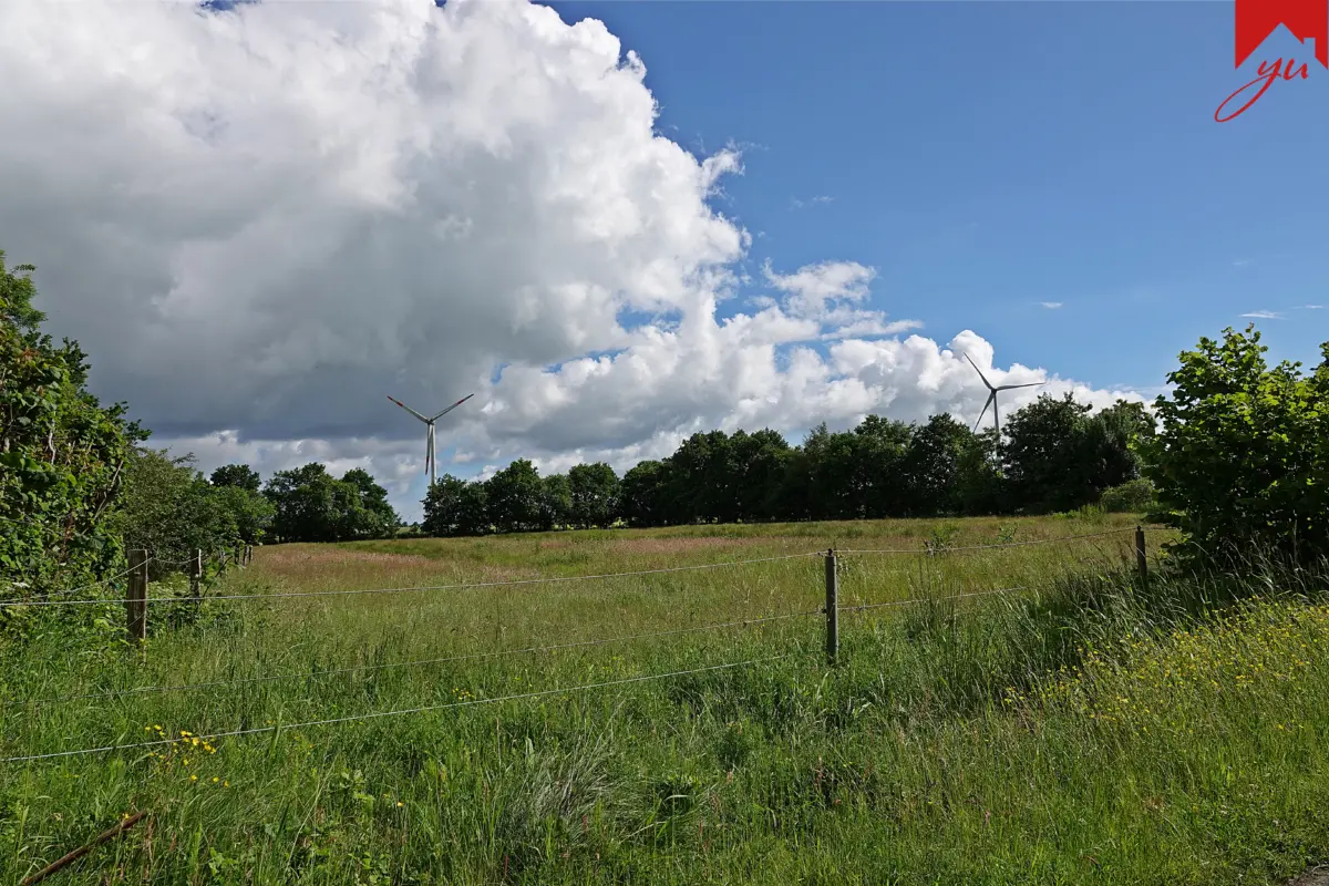 Landschaft