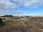 Dünenlandschaft Bild II - Gemütliche Obergeschosswohnung auf der ostfriesischen, autofreien Urlaubsinsel Baltrum!