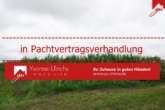 in PVV - Grünlandflächen / Ackerflächen in Westerholt, Willmsfeld zur Pacht