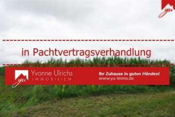 Grünlandflächen / Ackerflächen in Westerholt, Willmsfeld zur Pacht, 26556 Westerholt , Ostfriesl, Ackerbau