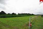 Flurstück 36/5 (Grünfläche hinter dem Maisfeld) - Grünlandflächen / Ackerflächen in Westerholt, Willmsfeld zur Pacht